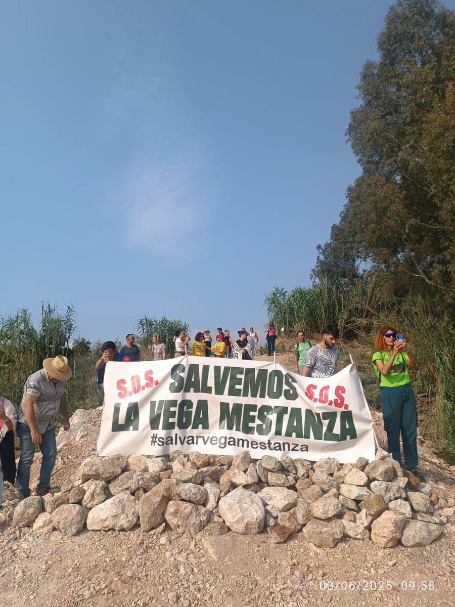 Manifestantes em Vega Mestanza montaram barricadas para impedir que o corte de 20.000 laranjeiras comece hoje.